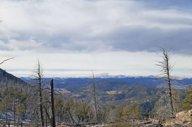 Climate Change & Wildfires: Rising Risk in Alpine Regions