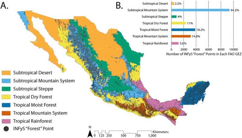 Mexico Forest Extent Map: A New Resource for Conservation & Research