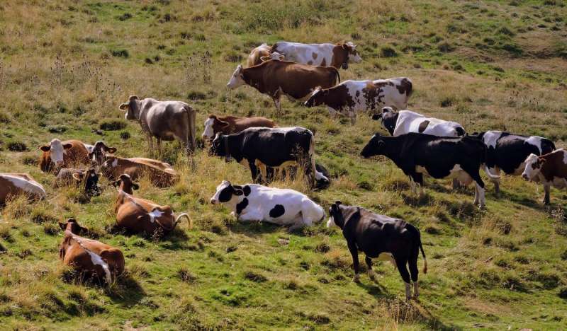Reducing Methane Emissions: How Breeding and Land Management Can Combat Climate Change