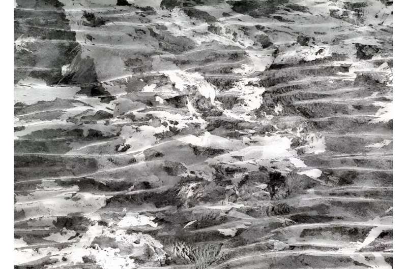 2023 Australian Bushfires: Northern Australia Suffers Record-Breaking 84 Million Hectares Burned