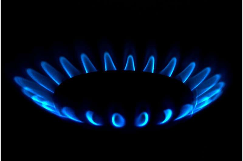 Washington Law Aims to Shape Puget Sound Energy s Future