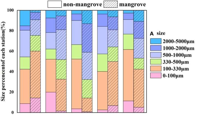 Microplastic Pollution Threatens Blue Carbon in Mangrove Ecosystems