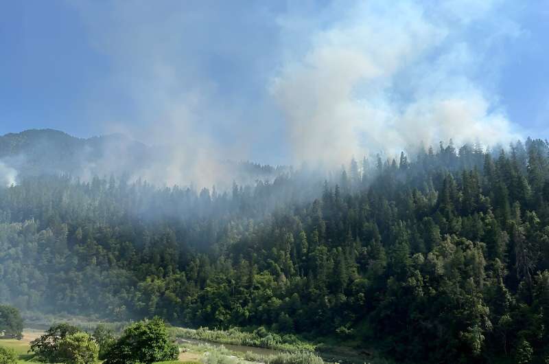 Indigenous Fire Stewardship: Key to Forest Ecosystem Resilience | Oregon State University