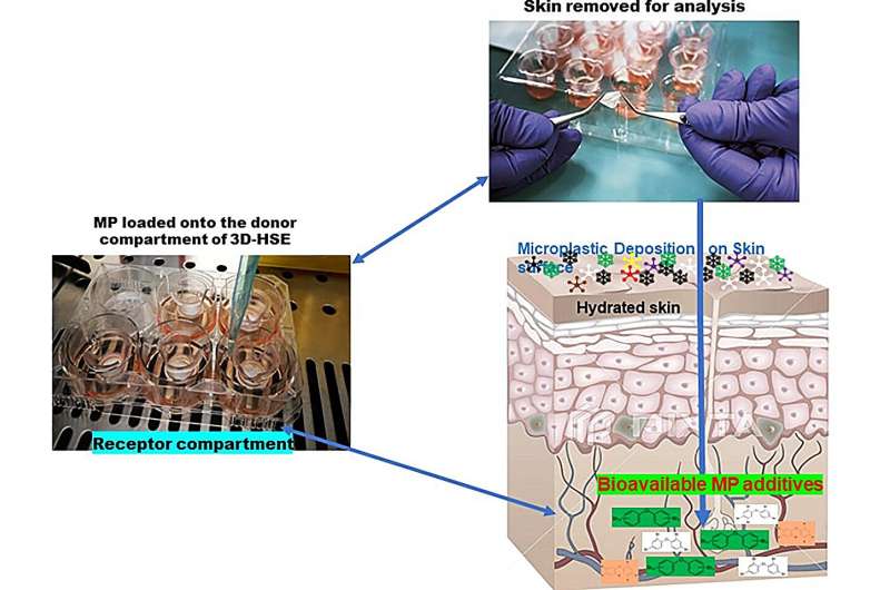 Flame Retardant Chemicals: Skin Absorption Risks Revealed by 3D Model