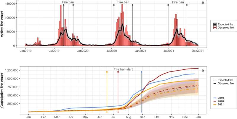 Amazon Rainforest Fires: Analysis & Strategies for Prevention