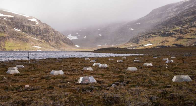 Tundra Warming: How Climate Change Impacts Carbon Release
