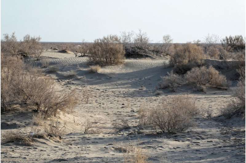 Aral Sea Desertification: Dust Pollution Threatens Central Asia