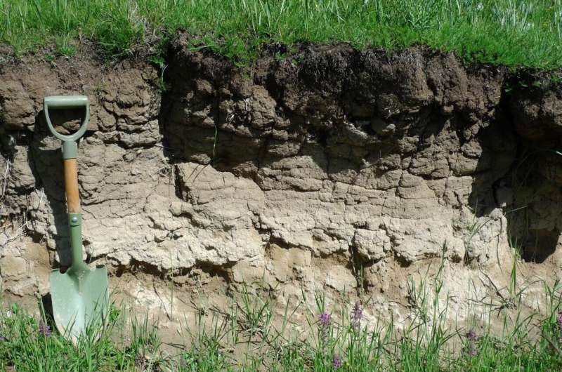 Global Soil Carbon Storage: New Research Uncovers Vast Reserves