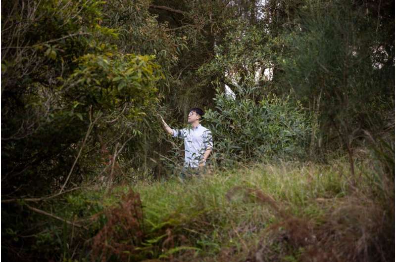 Native Trees: A Natural Solution for Landslide & Erosion Control