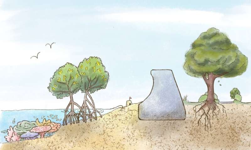 Hybrid Coastal Defense: Nature-Based Solutions for Lower-Risk Areas