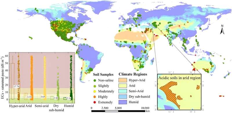Global Soil Salinity Mapping: Combating Land Degradation with 10m Detail