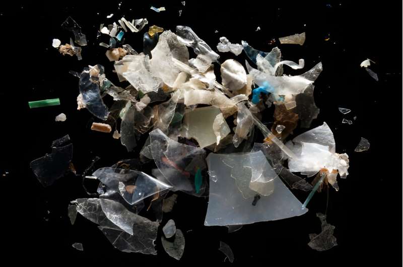 Reduce Plastic Waste: 5 Effective Strategies for a Healthier Planet