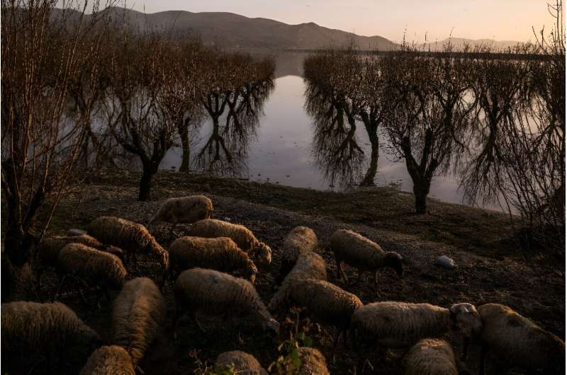 Lake Karla, Greece: A Story of Drought, Restoration, and Flood