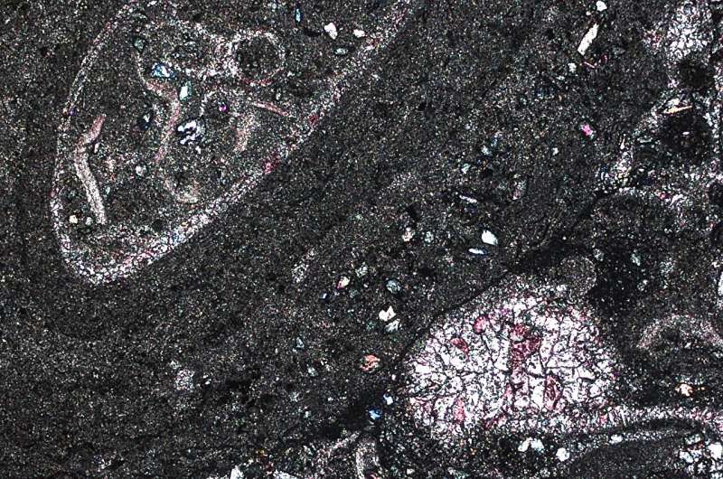 New Timeline of Ancient Ocean Oxygenation Discovered