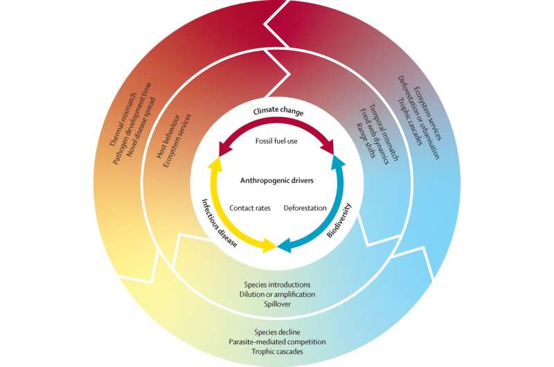 Biodiversity Crisis: Uncovering Critical Knowledge Gaps in Climate, Species Loss & Disease