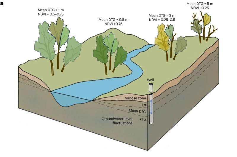 Groundwater s Vital Role in Ecosystem Sustainability: Assessment & Impact