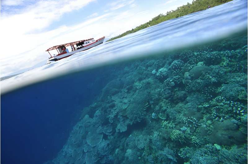 PFAS: Understanding  Forever Chemicals  and Their Environmental Impact