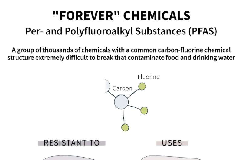 PFAS: Understanding  Forever Chemicals  and Their Environmental Impact