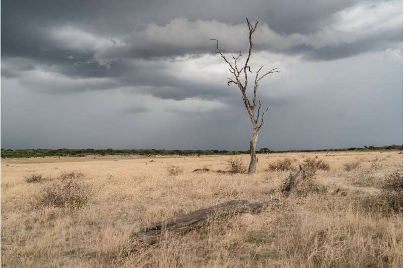 Zimbabwe Declares National Disaster Amid Severe El Niño Drought