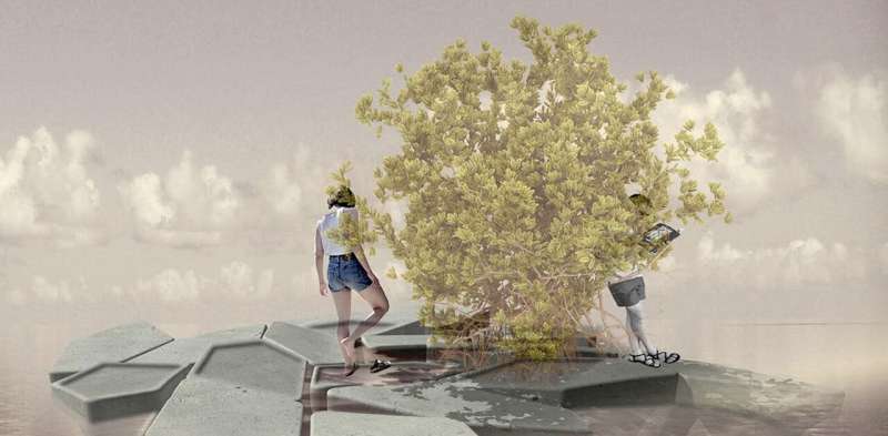Floating Mangroves: Ecological & Social Benefits for Coastal Communities
