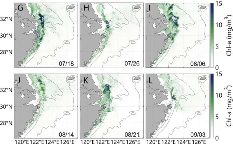Tropical Cyclones: A Surprising Tool Against Ocean Hypoxia