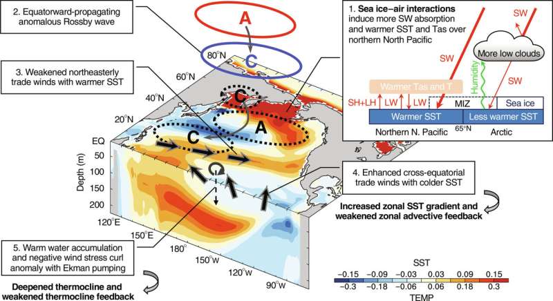 Arctic Sea Ice Loss Linked to El Niño Events: New Research