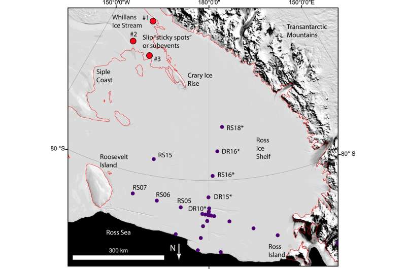 Ross Ice Shelf Dynamics: Daily Shifts in Antarctica s Largest Ice Shelf