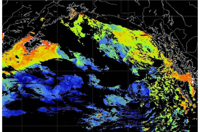 Iron Fertilization: New Study Reveals Uncertainties in Ocean Bloom Costs
