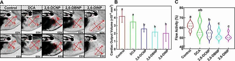 Water Pollution & Heart Damage in Fish: A New Study