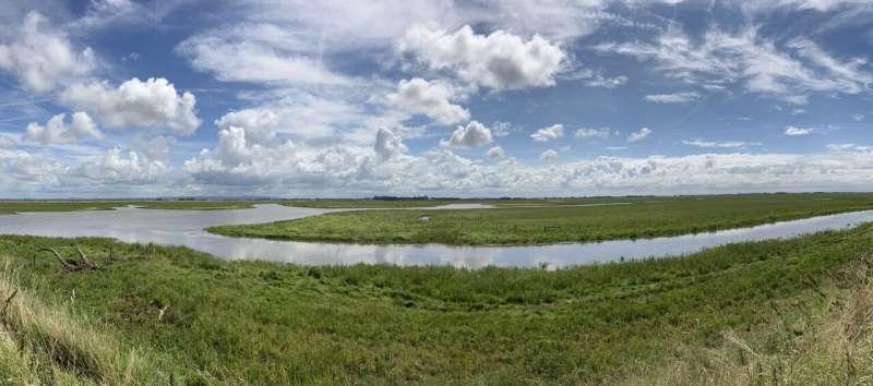 Carbon Credits to Fund UK Saltmarsh Restoration and Climate Change Mitigation