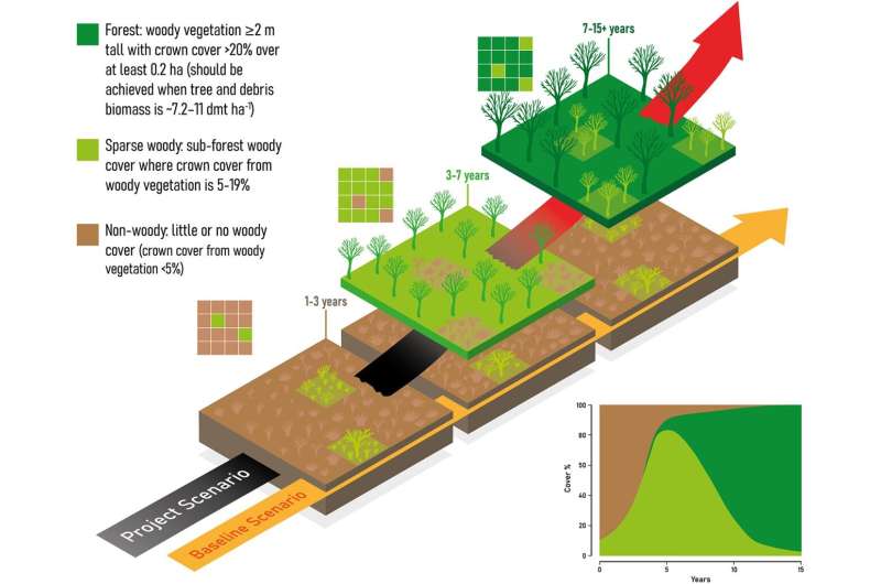 Forest Regeneration Projects: Are Carbon Offsets Failing?