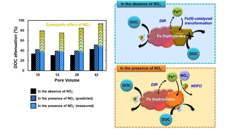 Nitrate Enhances Groundwater Purification in Aquifer Storage Recovery (ASR)