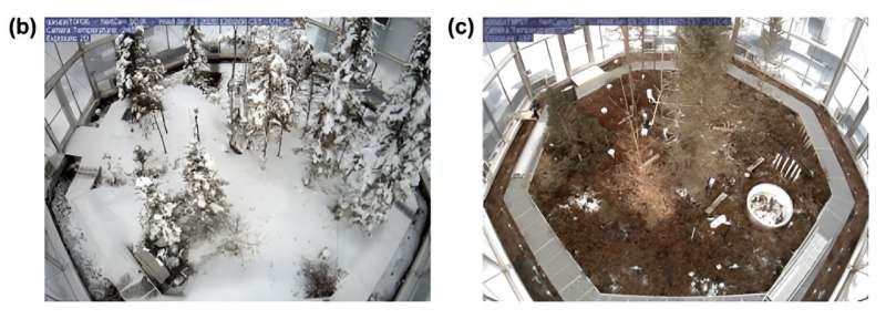 Impact of 1°C Warming on Snow Cover: A Visual Comparison