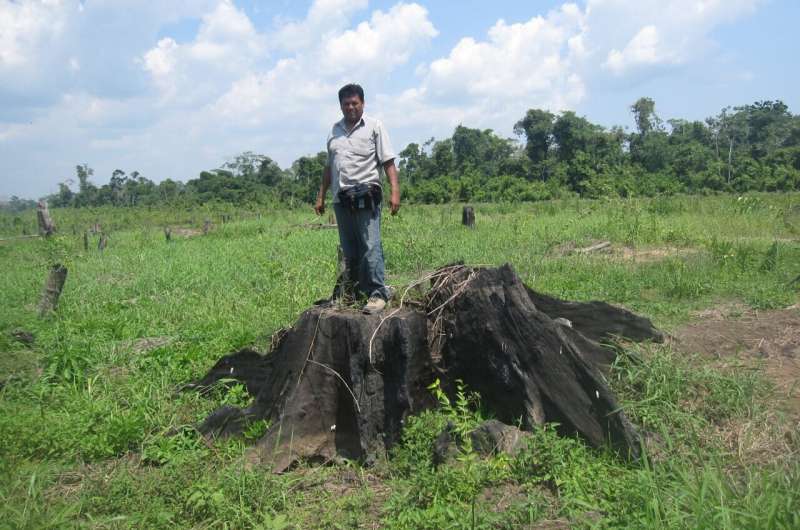 Nature-Based Climate Solutions: 4 Proven Ways to Reduce Carbon