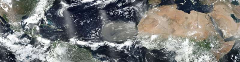 Global Impact of Saharan Dust: Bacteria & Fungi Transport