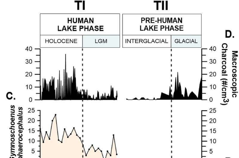 Rainforest Shifts: Indigenous Knowledge & Glacial Changes in Tasmania