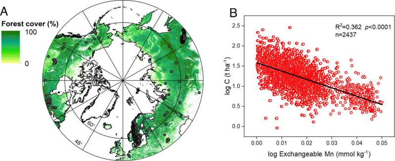 Carbon Storage in Northern China Forests: New Regulation Methods Discovered