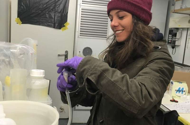 Ocean Dead Zones Worsening Due to Nutrient Pollution: Research