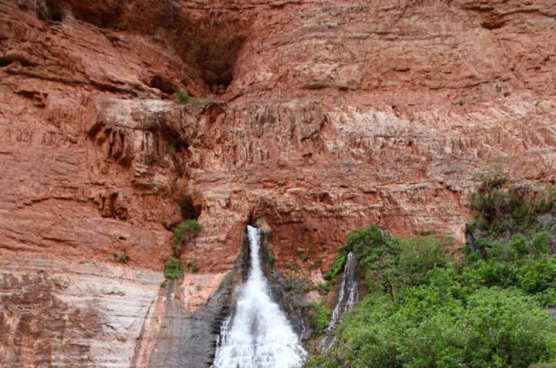 Grand Canyon Springs: Ecosystem Vulnerability & Uranium Mining Threats