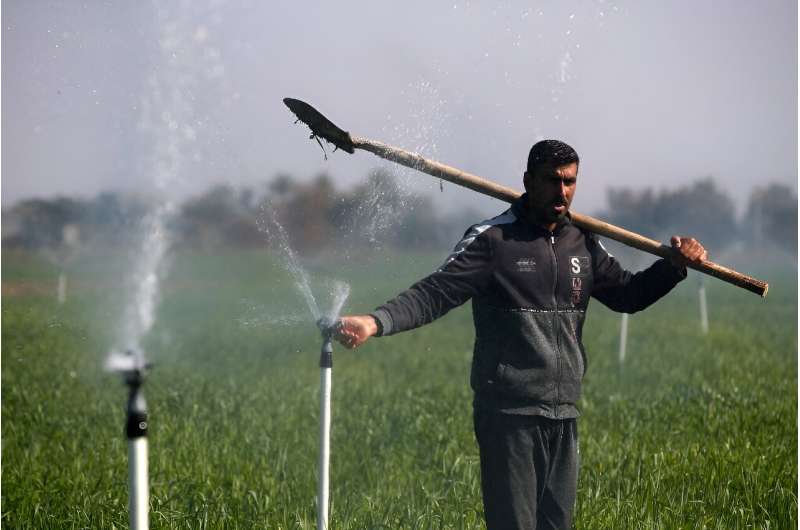 Water-Saving Irrigation Revives Crops in Iraq Amidst Drought