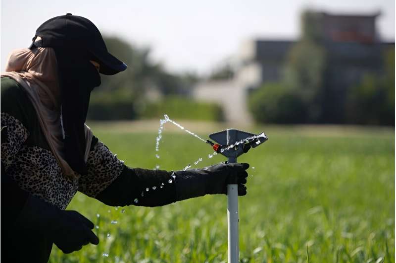 Water-Saving Irrigation Revives Crops in Iraq Amidst Drought