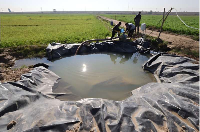 Water-Saving Irrigation Revives Crops in Iraq Amidst Drought