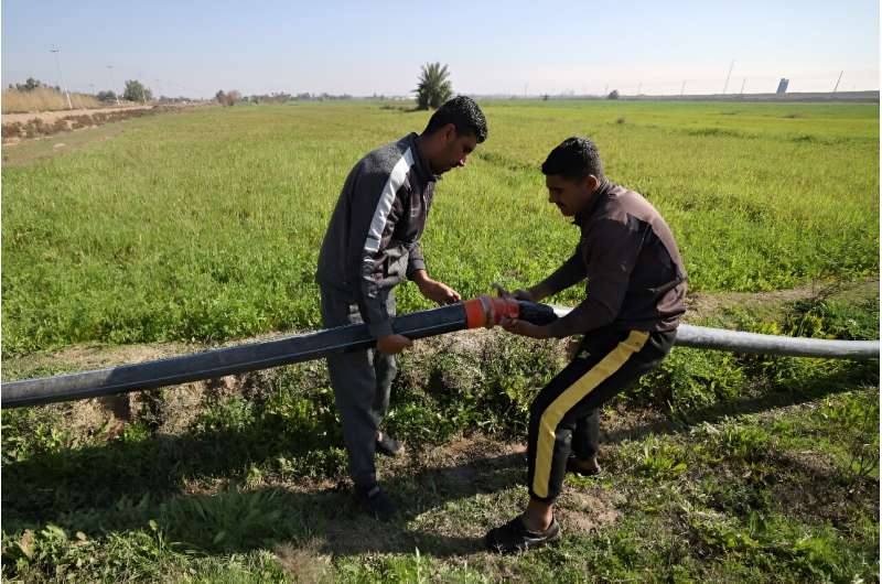 Water-Saving Irrigation Revives Crops in Iraq Amidst Drought