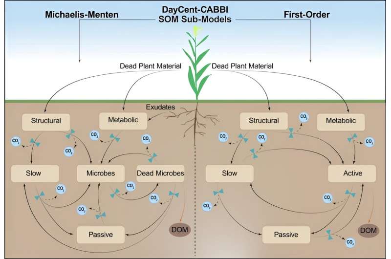 Advanced Soil Model Incorporates Microbes and Grasses for Climate Research
