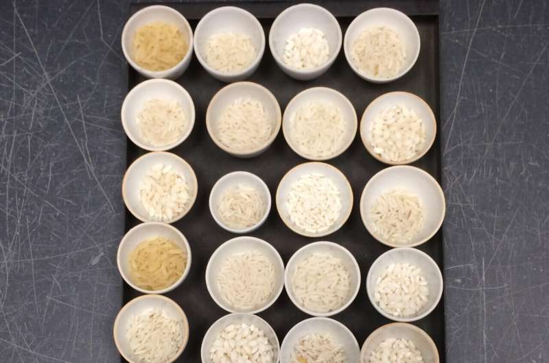 Arsenic in Drinking Water: New Study Highlights Risks for Millions