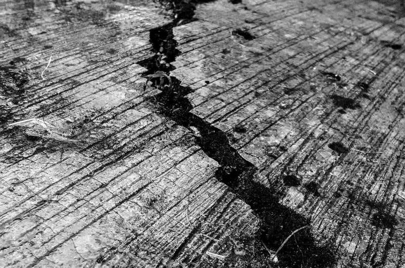 Understanding the Nankai Trough Megathrust Earthquake: Risks & Predictions