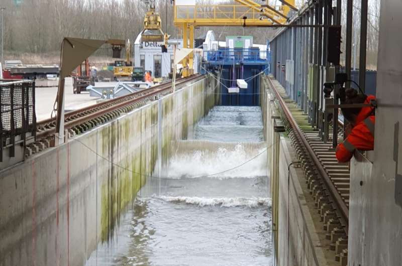 Salt Marsh Resilience: Can Coastal Ecosystems Protect Against Flooding?