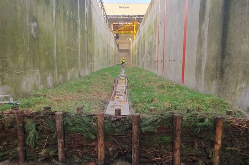 Salt Marsh Resilience: Can Coastal Ecosystems Protect Against Flooding?