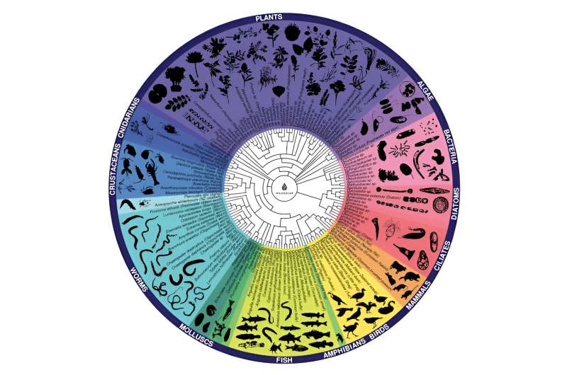 Environmental DNA Monitoring for NZ River Health: A Promising Solution