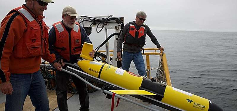 Ocean Hypoxia in Pacific Northwest: Study Reveals Widespread Low Oxygen Levels